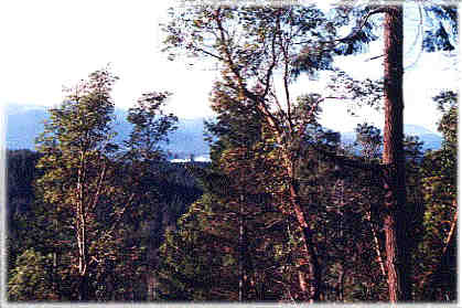 view from distant hills towards ladysmith.