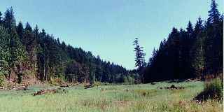 view of the Meadow Valley, .jpg.