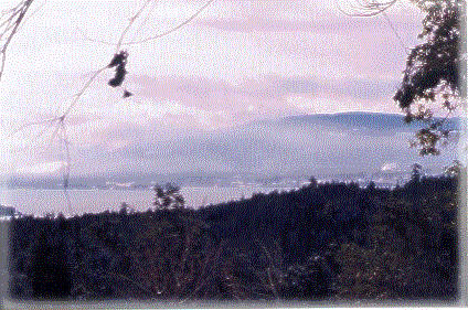 View towards Chemainus on a snowy day